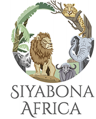 http://www.africawellness.co.za