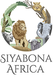 http://www.africawellness.co.za